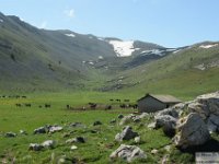 2026-05-09 Le cime di Casamaina 075